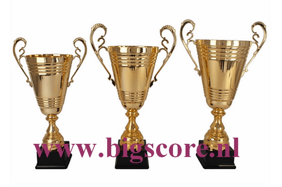 AX9290 Grote beker Goud